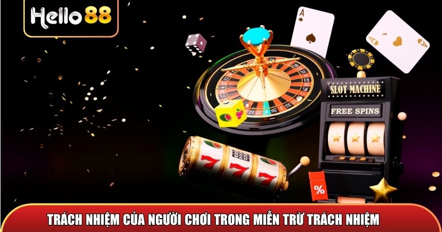 Trách nhiệm của người chơi trong chính sách miễn trừ trách nhiệm